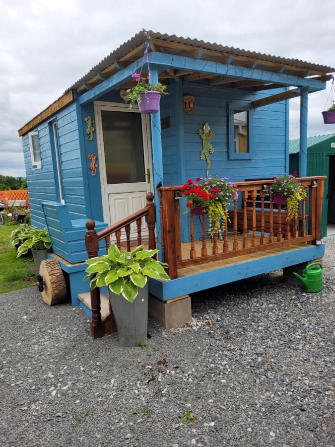 Wedger'S Hut Ξενοδοχείο Nenagh Εξωτερικό φωτογραφία